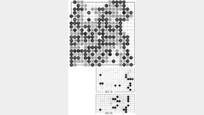 [바둑]제56기 국수전… 새내기 4강에 오르다 