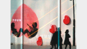 [포토 에세이]일상의 아름다운 변신