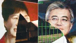 찢어진 벽보, 삐뚤어진 표심