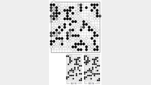 [바둑]제56기 국수전… 노림수 184 