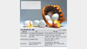 [Money&Life]암흑 속 빛줄기 될까… 상황따라 분산투자하는 펀드 강세