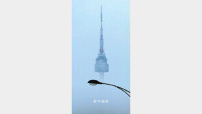 [포토 에세이]붕 뜬 N서울타워