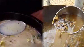 [뉴스A]웨딩홀 잔치국수-길거리 어묵…‘동물 사료’로 육수 만든 음식 충격