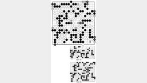 [바둑]제56기 국수전… 역 끝내기 181 