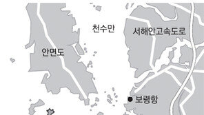 [O2/커버스토리]보령 고대도 아이들의 송년인사… 육지야, 메리 크리스마스!