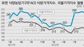 [오늘의 핫 이슈]큰 고비 넘긴 애그플레이션… 밀가루가 변수