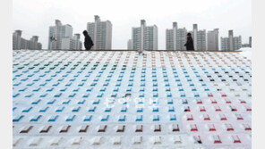 [포토 에세이]거리를 두고 걷는 노부부의 산책