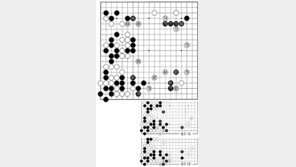 [바둑]제56기 국수전… 반상 최대 70 