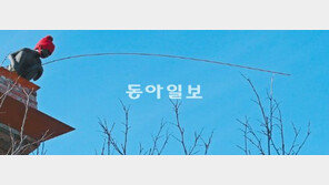 [포토 에세이]연목구어