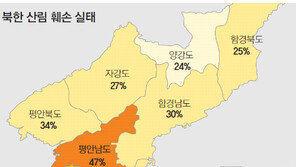 [北 산림복구 ‘발등의 불’]<상> 황폐화 실태