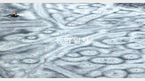 [포토 에세이]얼음낚시, 예술이네