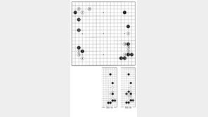 [바둑]제56기 국수전…모교서 치러진 도전 2국