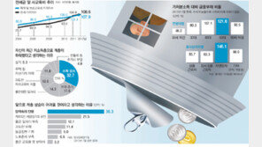 [2013 중산층 별곡]<中> 무늬만 중산층