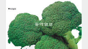 [헬스&뷰티/1일 5색 식물영양소 섭취 캠페인]<3>건강한 채소 조리법<끝>