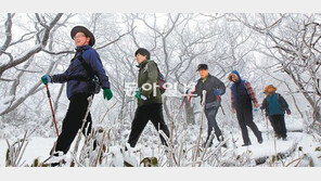 [헬스&뷰티]춥다고 집에만?… 꼼꼼히 챙겨 제철 재미 만끽!