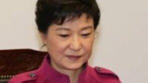 “박근혜 당선인 사랑한다” 정체불명 30대男 소동