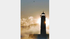 [Money&Life/최재헌 칼럼]2013년 올바른 투자를 위한 세가지 지침