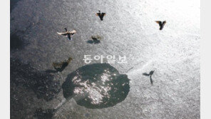 [포토 에세이]얼음 구멍? 겨울 숨구멍!