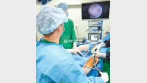 [헬스&뷰티]줄기세포 주사해 연골 치료… 관절염 없는 세상 만든다