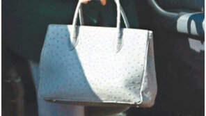 닮은 가방도 좋아 ‘大朴백’ 대박났네