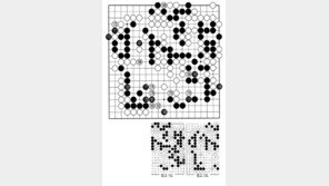 [바둑]제56기 국수전…마지막 패착 160