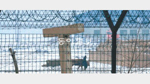 [北 3차 핵실험 후폭풍/북핵 딜레마에 빠진 한국]<2> 속 빈 협상