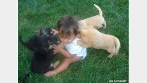 목덜미가 가려운 아기…“제발 나 좀 내버려둬!”