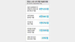 나치 약탈 유대인 미술품… 佛, 주인 찾아주기 나섰다