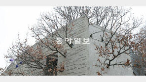 [포토 에세이]나무가 사는 집