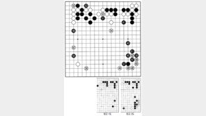 [바둑]제46회 아마 국수전… 기분 좋은 선수 49 
