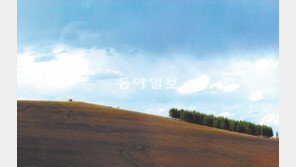 [포토 에세이]윤동주 시인이 꿈을 키운 그 하늘