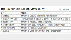 [단독]“부처 영문명 중구난방 그만”