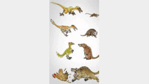 백만 년 후의 복수, 익룡이 닭으로 퇴화…사실일까?