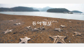 [포토 에세이]별들의 고향