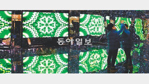 [포토 에세이]상상의 나래, 맘껏 펼쳐라