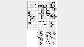 [바둑]제46회 아마 국수전… 꽃놀이 패 
