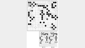 [바둑]제46회 아마 국수전… 탄력 있는 수 113-115 