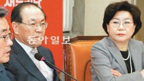 정치권 난제 쌓였는데… 이런 정치력으로 풀수 있나