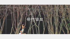 [포토 에세이]봄 햇살은 나뭇가지 사이로 흐르고…