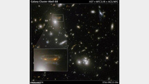 NASA 우주 침략자 사진…“영화 속 외계인 모습, 상상이 아냐”