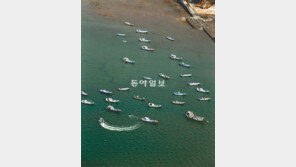 [포토 에세이]월척의 꿈, 봄바다에 두둥실