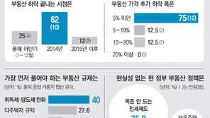 [긴급점검 무너지는 부동산시장]<하> 거래 발목잡는 규제… 전문가 20명 설문