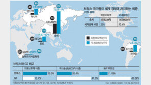 브릭스, IMF-WB 맞설 ‘세계은행’ 만든다