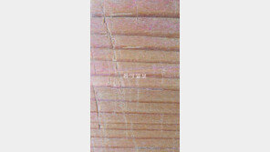 나이테 이용해 국내 最古 나한상 찾았다