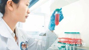 [헬스&뷰티/병원특집]‘삐끗’해 다친 발목, 줄기세포 연골치료로 빠르게 고친다