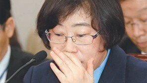 이런 청문회도… 野, 채동욱 칭찬 릴레이