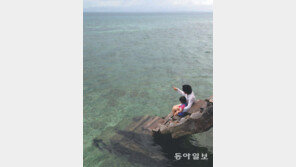 [포토 에세이]저기… 인어공주가 보이니?