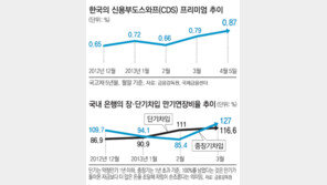 [오늘의 핫 이슈]북한 리스크 지켜보는 금융시장 두 표정