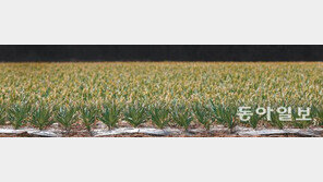 [포토 에세이]초록, 기지개를 켜다