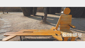 [포토 에세이]사랑이 싹트는 벤치